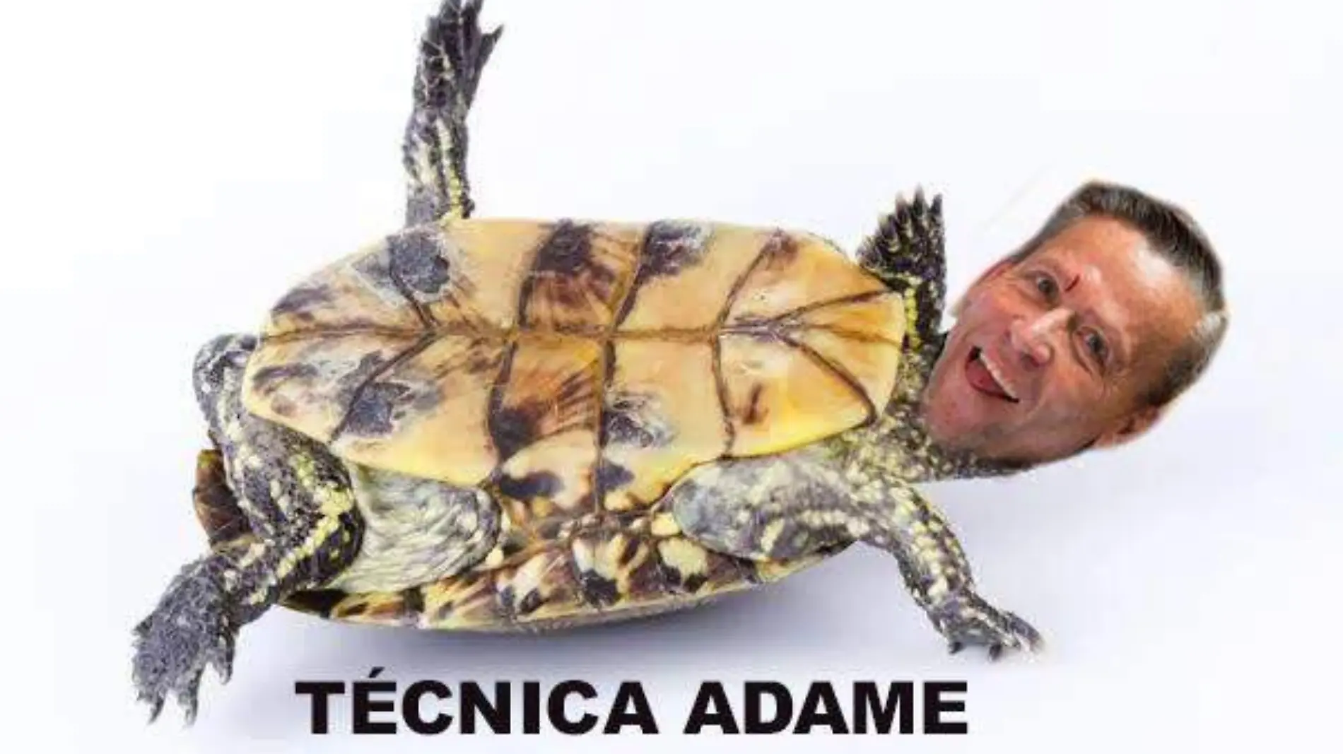 meme portada adame